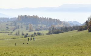 Foto: A.K./Radiosarajevo.ba / Barice