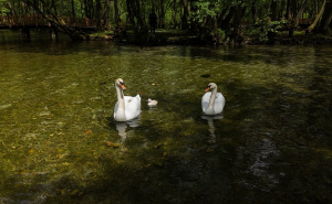 Foto: AA / Vrelo Bosne