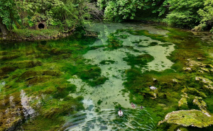 Foto: AA / Vrelo Bosne