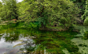Foto: AA / Vrelo Bosne